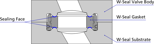 W-Dichtung