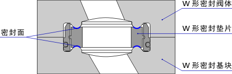W 形密封