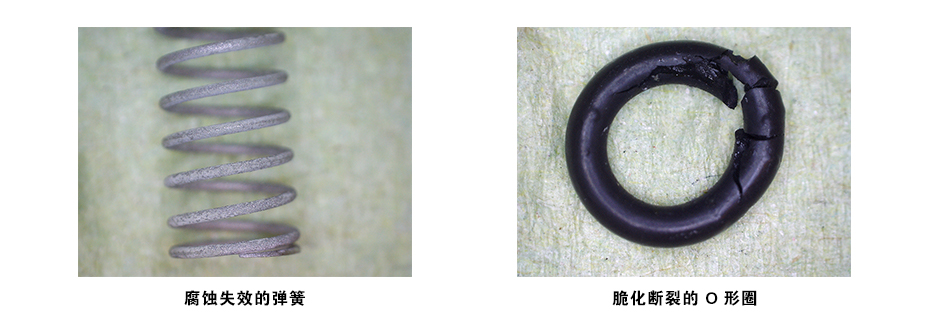 成功案例：定制化方案解决强腐蚀性介质难题